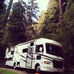Samuel taylor state park