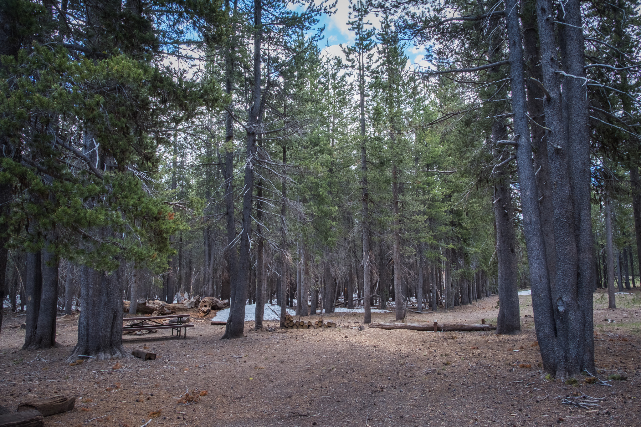 Schonchin Springs Campground