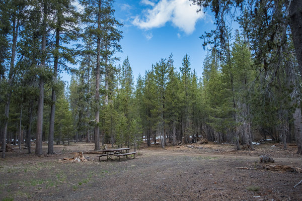 Schonchin Springs Campground