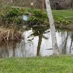 Wilderness lakes rv resort