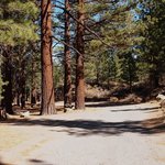Sherwin creek