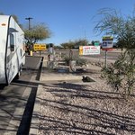 Loves travel stop gila bend az