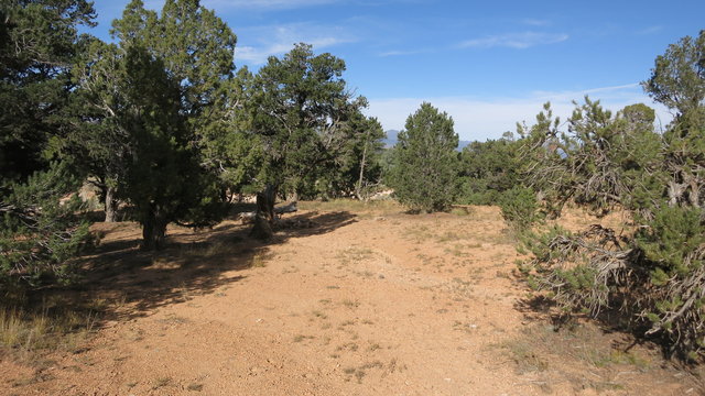 Losee Canyon Dispersed Camping photo 2
