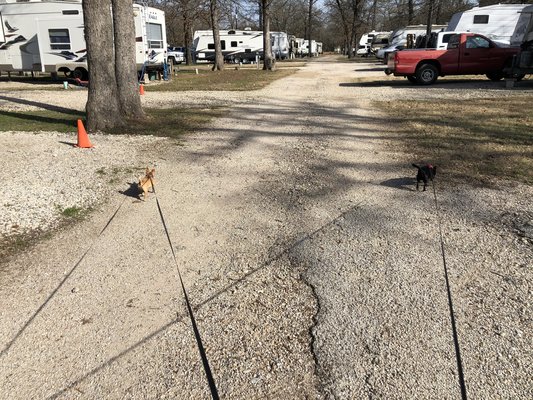 Lone Star RV Park