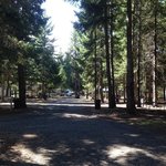 Silver ridge ranch