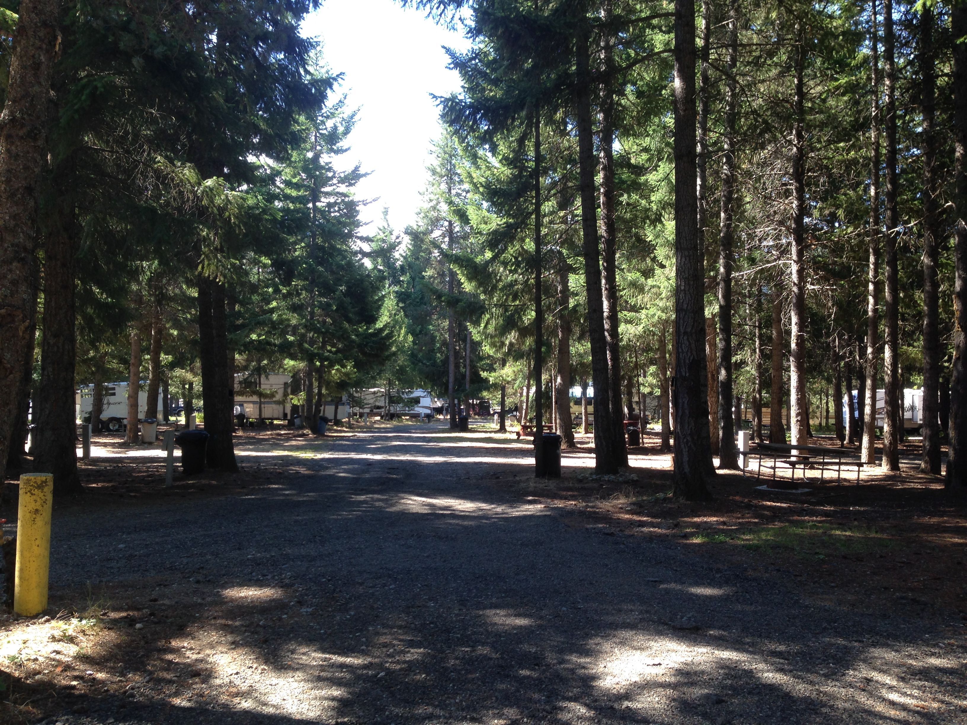 Silver Ridge Ranch Reviews updated 2025