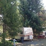 Silver ridge ranch