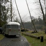 Hoh campground