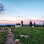 Forest road 302 routt nf