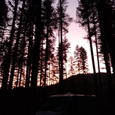 Middle Waddell Campground photo 2