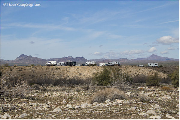 Alamo Lake Wildlife Area Reviews Updated 2020