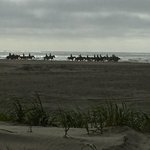 Quinault beach resort casino