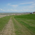 Steer pasture overlook