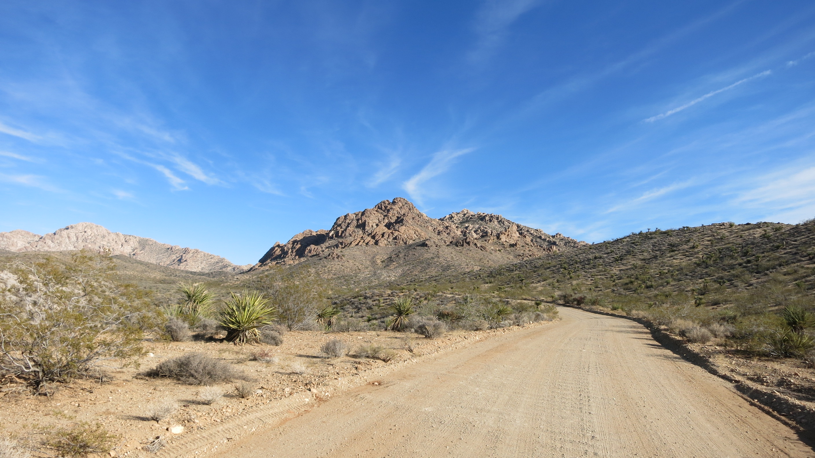 Christmas Tree Pass Reviews updated 2024