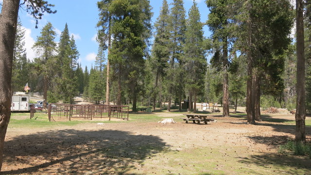Horse Camp Campground photo 2