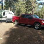 Forest road 552