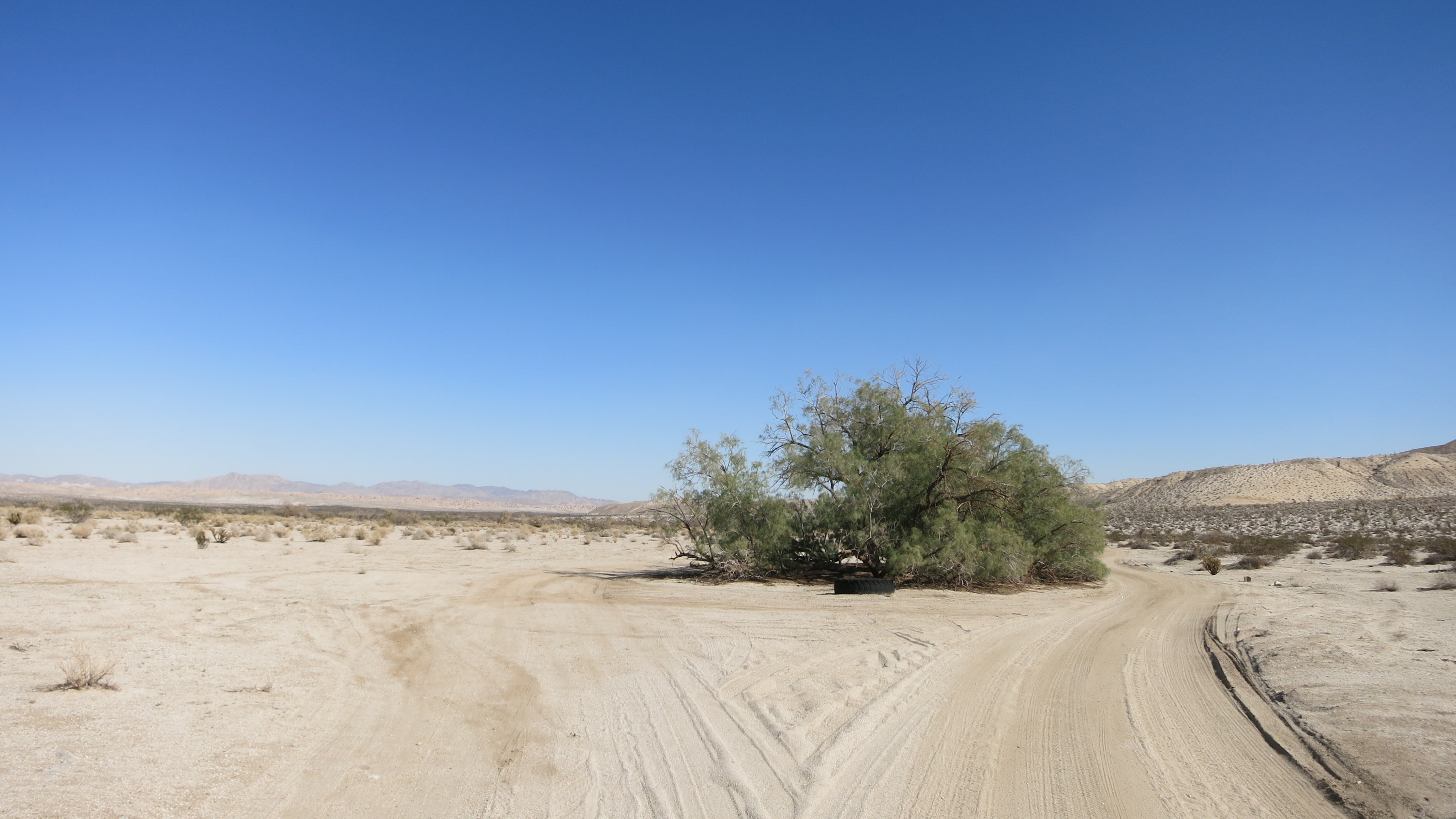 South Carrizo Creek Reviews updated 2024