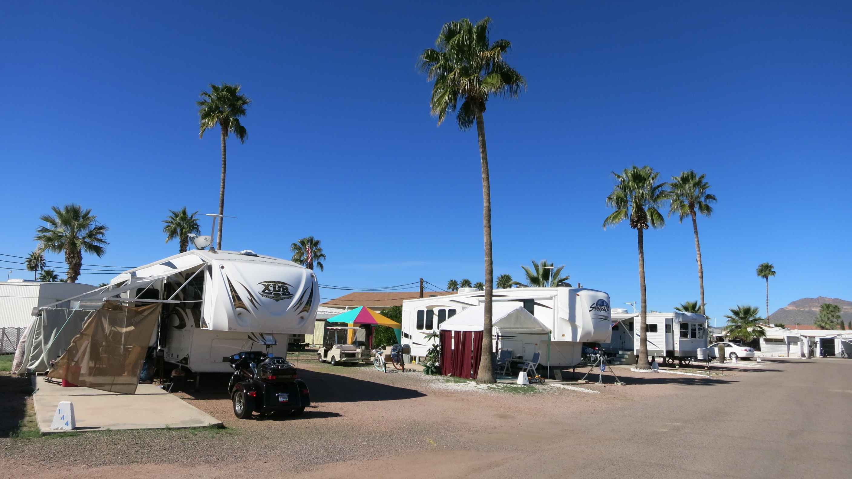 Blue Star 55+ RV Resort & Reservations updated 2024