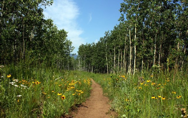 West Magnolia Designated Dispersed Campsites photo 2