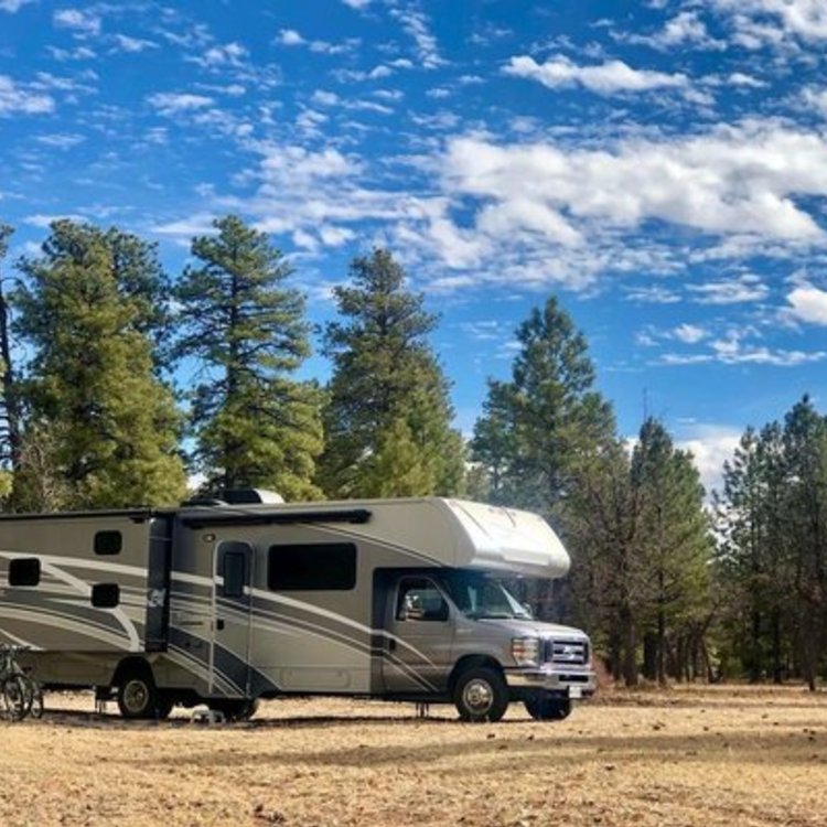 Coconino Rim Road Dispersed Camping