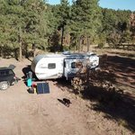 Forest road 535