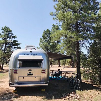 Forest Road 302 Dispersed Camping photo 2