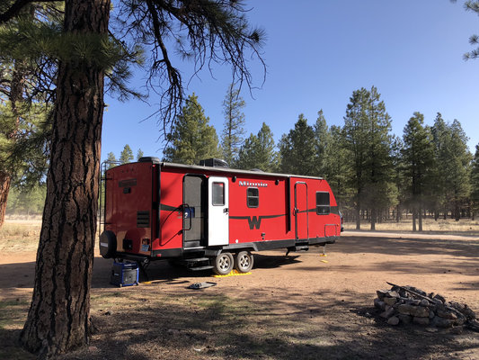 Forest Road 688 Dispersed Camping photo 2