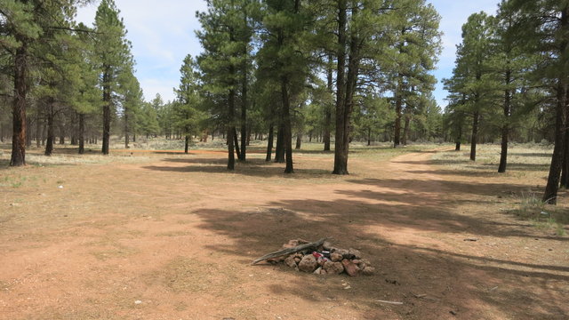 Forest Road 306 Dispersed Camping photo 2