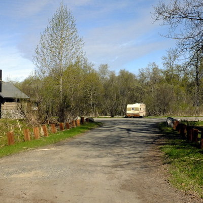 Coho Campground photo 2