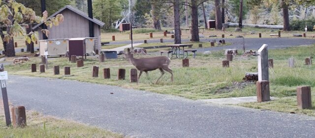 Sweetwater Campground photo 2