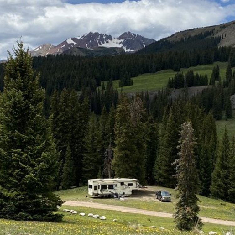 Lizard Head Pass Dispersed Camping