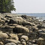 Oceanfront camping reach knolls