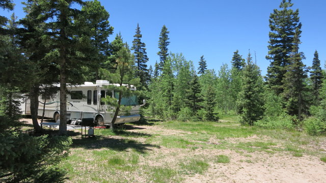 Forest Road 270 Dispersed Campsite photo 2