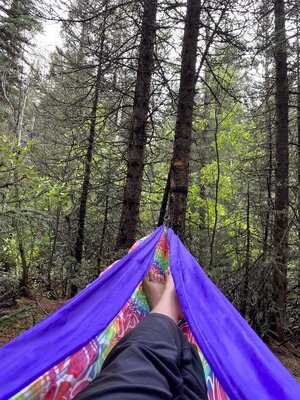 Arrastra Gulch Dispersed Camping