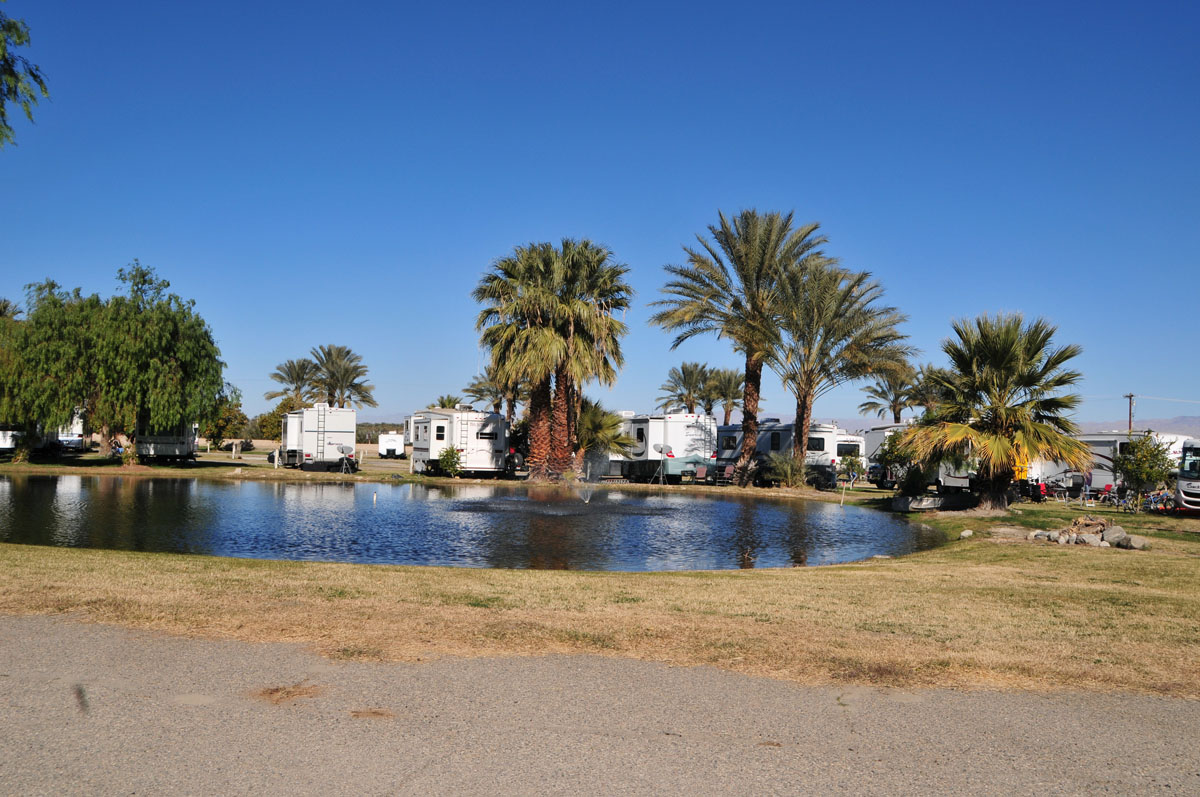 Oasis Palms RV Park Reviews updated 2024
