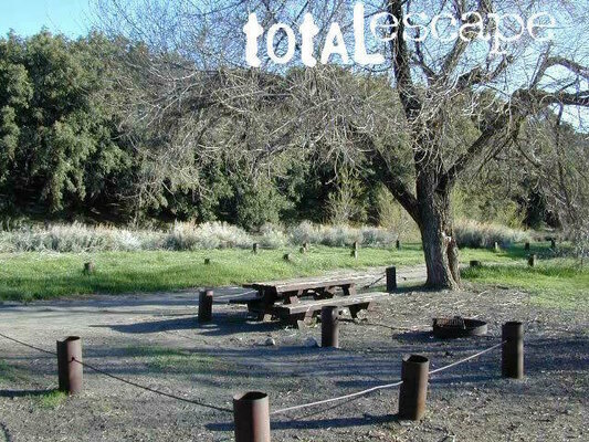Toad Springs Campground