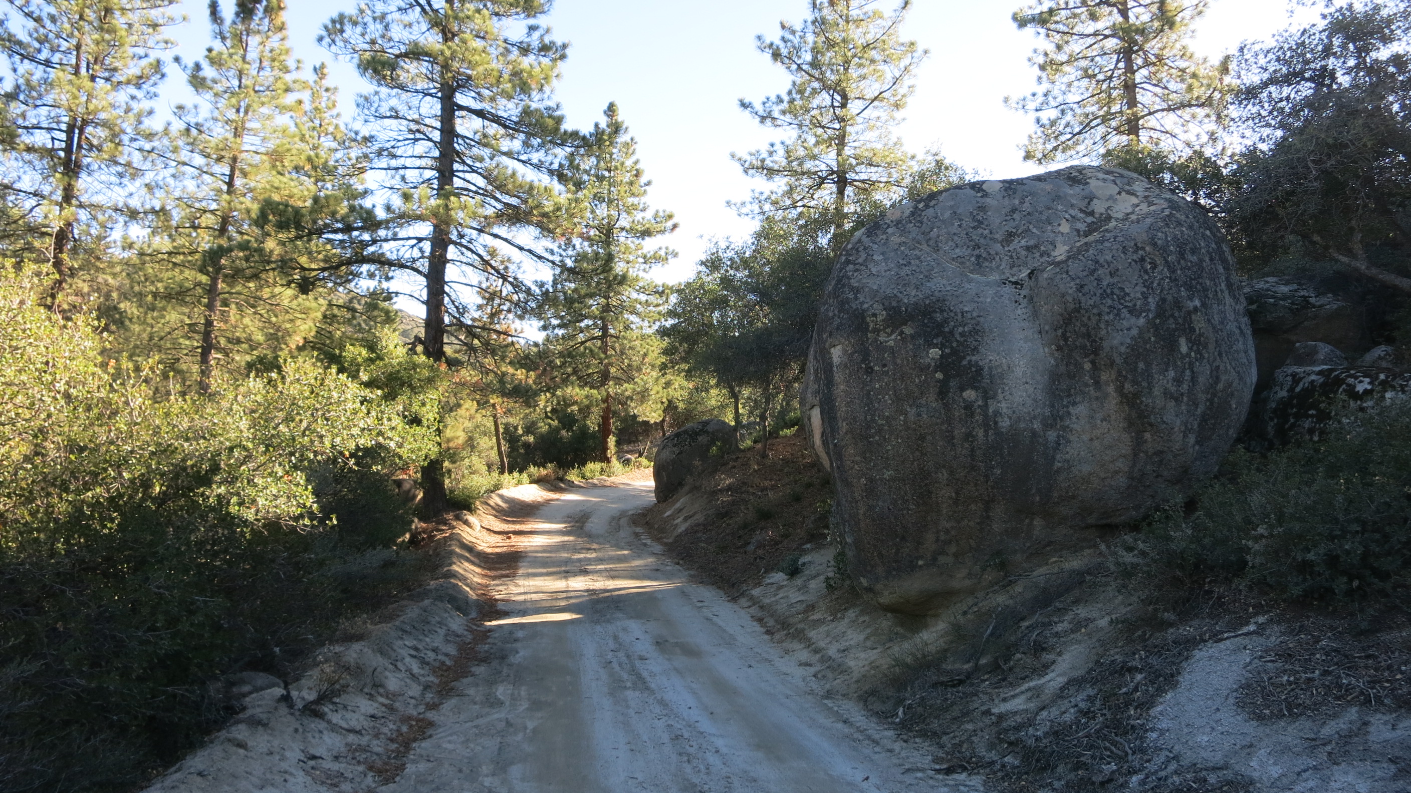 Tool Box Springs Yellow Post Campsites Reviews updated 2024