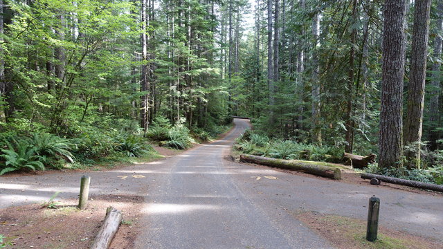 Skokomish Park North Camp photo 2