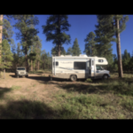 Forest road 248