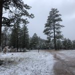 Forest road 248