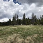 Troy meadow campground