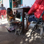 Rice beans rv park