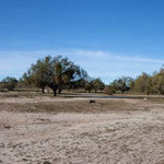 Rancho santa ynez