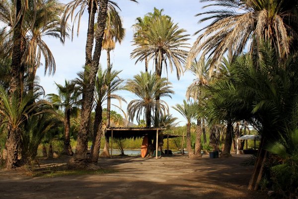 Campo Los Petates photo 2