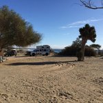 Campo sirena