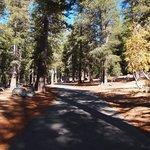 Twin lakes