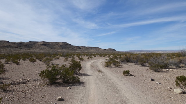 Rattlesnake Mountain Primitive Campsite photo 2