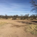 Oak tree canyon