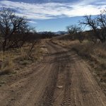 Oak tree canyon