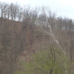 Hidden valley outfitters